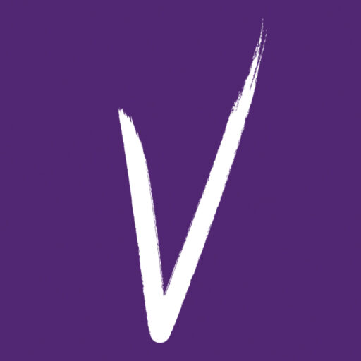 Vision V Home Logo