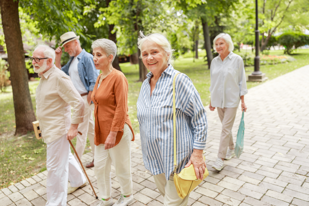 group of elderly walkers