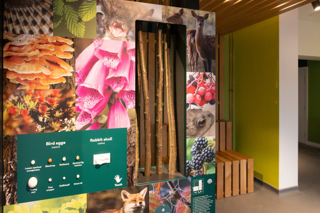 Hainault Forest - Interactive Interpretation Centre