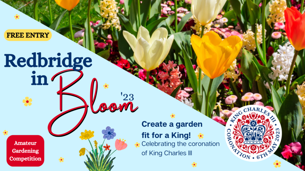 The image is split diagonally from top left to bottom right. The top right side is full of an image of colourful flowers of yellow, red, orange, pink and white. The bottom left portion of the image is pale blue, it has a yellow box with "FREE ENTRY" in the very top left corner. Below that is the logo for Redbridge in Bloom 2023. Underneath the logo is a red box that says "amateur gardening competition" and to the right of this is a cartoon bunch of flowers seemingly growing out of the bottom of the image. The bottom right of the image has the logo for King Charles III's coronation and this circular logo overlaps both halves of the image. To the left of the coronation logo is text saying "create a garden fit for a King! Celebrating the coronation of King Charles III". Dotted around the light blue section are tiny yellow flowers.